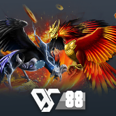Sabong 66ff
